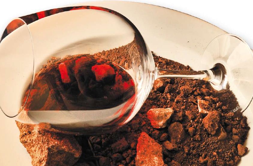 El factor mineral en vinos. ¿realidad o pura fantasía?