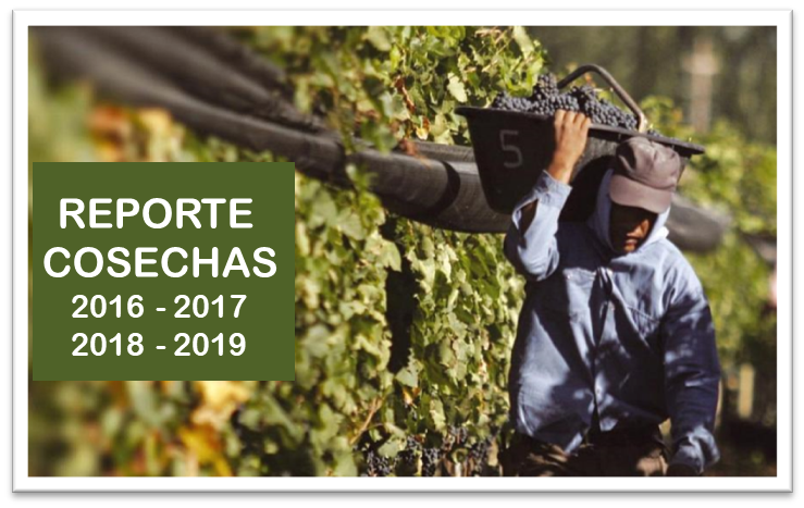 Reporte de cosechas 2016, 2017, 2018 y 2019. ¿Que esperar de sus vinos?