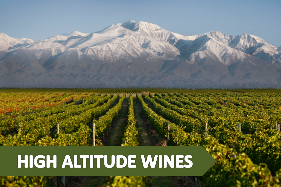El concepto High Altitude Wines y su impacto en los vinos
